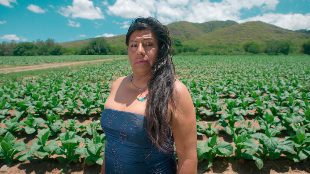 Todas-las-vidas-de-Cristina-Veneno