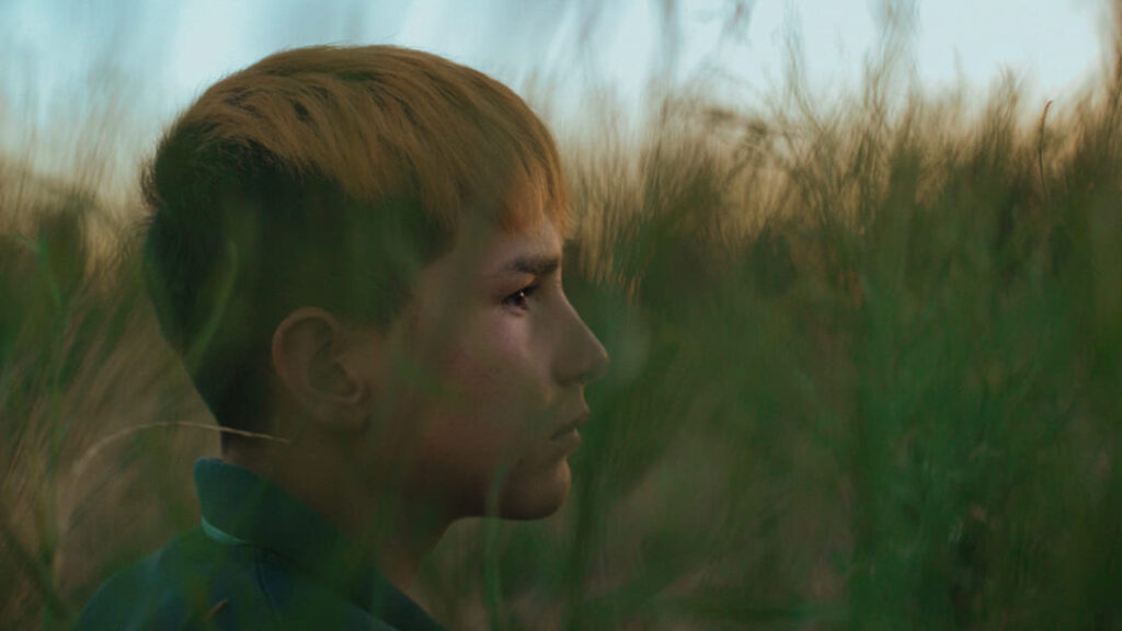 El-atardecer-de-los-grillos